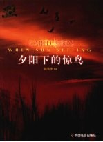 夕阳下的惊鸟