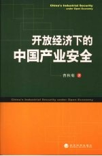 开放经济下的中国产业安全