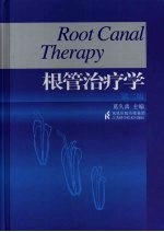 根管治疗学 第2版