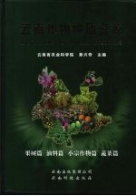 云南作物种质资源 果树篇、油料篇、小宗作物篇、蔬菜篇