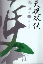 天观双侠 3