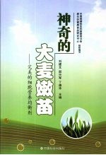神奇的大麦嫩苗 完美的细胞营养均衡剂