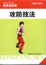 截拳道短棍 攻防技法