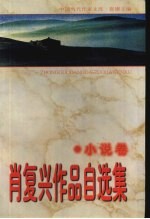 肖复兴作品自选集 小说卷