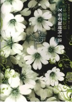 飞扬 第十届新概念作文获奖者范本 B卷