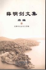 薛明剑文集续编 下