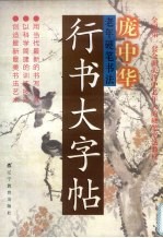老年硬笔书法 行书大字帖