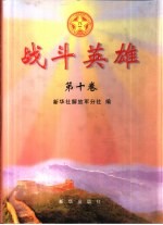 战斗英雄 第10卷
