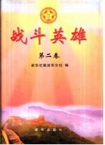 战斗英雄 第2卷