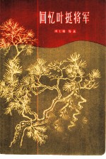 回忆叶挺将军