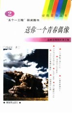送你一个青春偶像