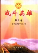 战斗英雄 第3卷