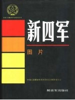 新四军 图片