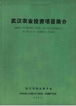 武汉农业投资项目简介