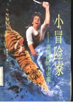小冒险家 英国惊险小说集