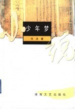 少年梦 小说