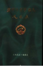 深圳市荣誉市民风采录 第2卷