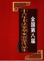 全国第八届中青年书法篆刻家展览作品集