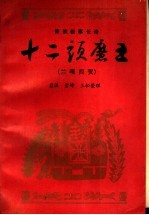 十二头魔王 傣族叙事长诗