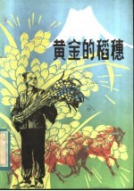 黄金的稻穗
