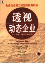透视动态企业 技术、战略、组织和区域的作用 the role technology, strategy, organization, and regions