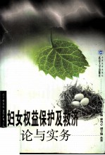 妇女权益保护及救济理论与实务