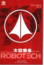 太空堡垒之南十字军 上