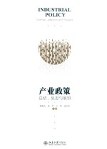 产业政策 总结、反思与展望