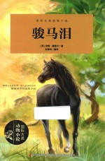 骏马泪