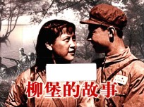 纪念抗日战争胜利70周年 敌后抗日篇 柳堡的故事