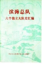 滨海总队六个独立大队史汇编