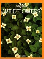 THE WORLD OF NATURE WILDFLOWERS