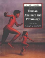 STUDY GUIDE TO ACCOMPANY HUMAN ANATOMY AND PHYSIOLOGY THIRD EDITION