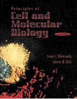 PRINCIPLES OF CELL AND MOLECULAR BIOLOGY SECOND EDITION