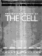 MOLECULAR BIOLOGY OF THE CELL FOURTH EDITION
