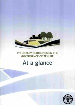 VOLUNTARY GUIDELINES ON THE GOVERNANCE OF TENURE AT A GLANCE