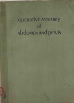 Operative anatomy of abdomen and pelvis