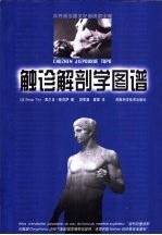 触诊解剖学图谱