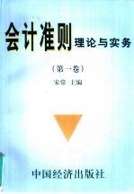 会计准则理论与实务 第1卷