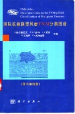 国际抗癌联盟肿瘤TNM分期图谱
