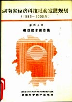 湖南省经济科技社会发展规划 1989-2000年 第4分册 模型技术报告集