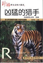 凶猛的猎手 肉食哺乳动物 猛禽