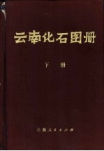 云南化石图册 下