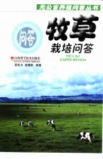 牧草栽培问答