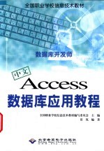 中文Access数据库应用教程 数据库开发师