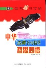 中华古典名句精萃钢笔楷书字帖 哲思妙悟