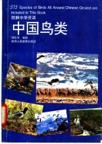 中国鸟类