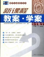 新课程小学数学教案.学案 人教版适用