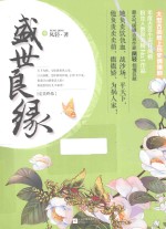 盛世良缘 完美终结 中