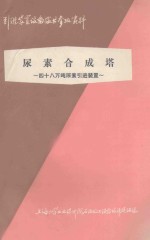 尿素合成塔 48万吨尿素引进装置